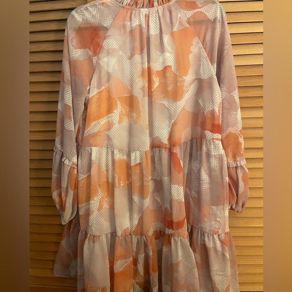 Express Multicolor Ruffled Dress - Picture 4 of 4